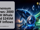 Ethereum News: 2000 ETH Whale, ETF Inflows and $4.39M Hacker Activity