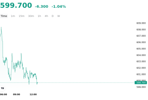 BNB (BNBUSD) Is down 1.04% on Aug 10: Key Drivers to Watch