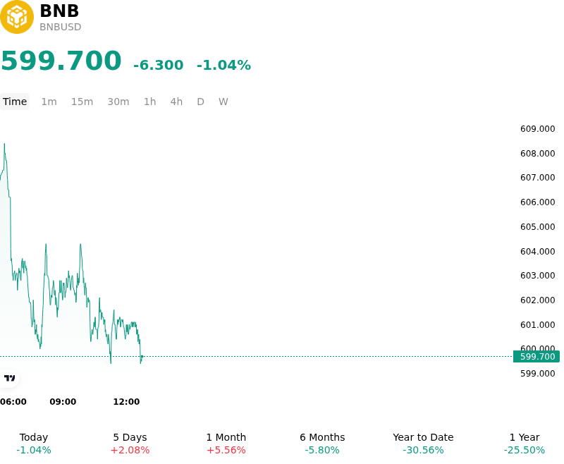 BNB (BNBUSD) Is down 1.04% on Aug 10: Key Drivers to Watch